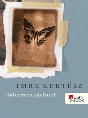 cover image of Galeerentagebuch